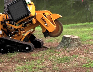 welland tree stump grinding services
